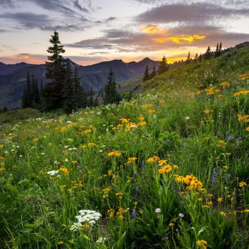 Rocky Mountains near Vistas at Jackson Creek